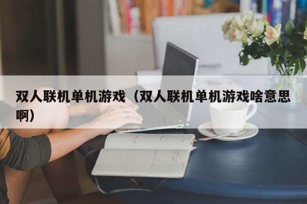 双人联机单机游戏（双人联机单机游戏啥意思啊）